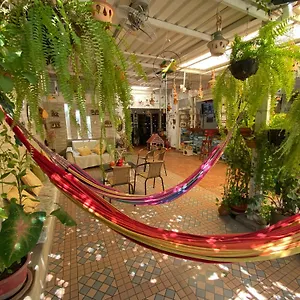 Casa Linda Homestay Santa Marta (Magdalena)